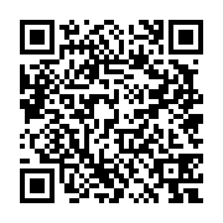 QR code for WZE4386