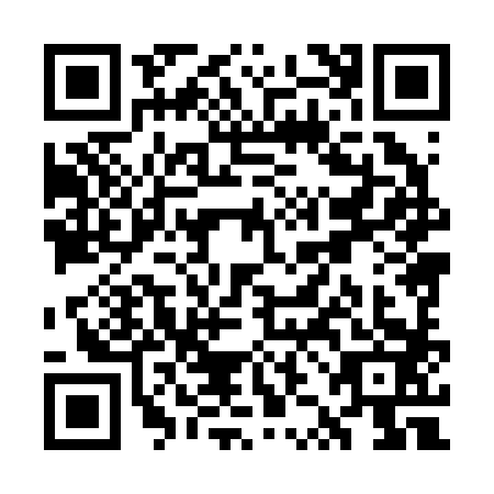 QR code for WZH2833