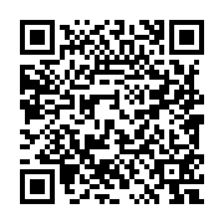 QR code for WZL9513