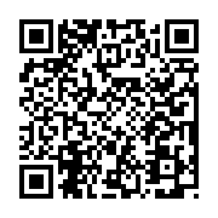 QR code for WZS4295