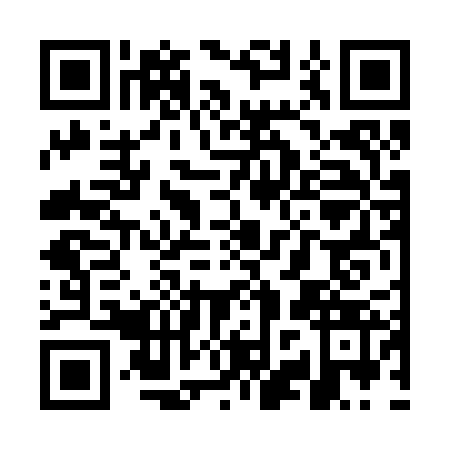 QR code for WZV2234