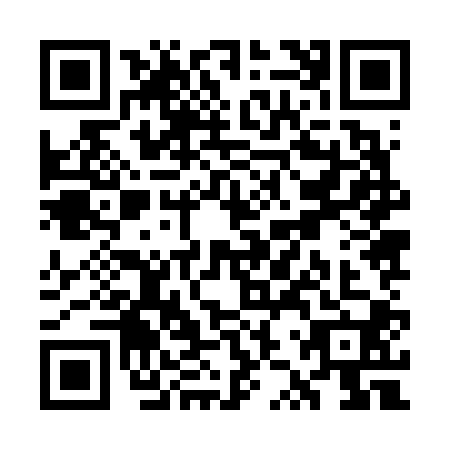 QR code for WZZ6009