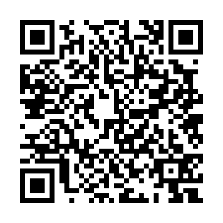 QR code for XAR0333