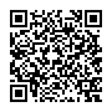 QR code for XBG0316