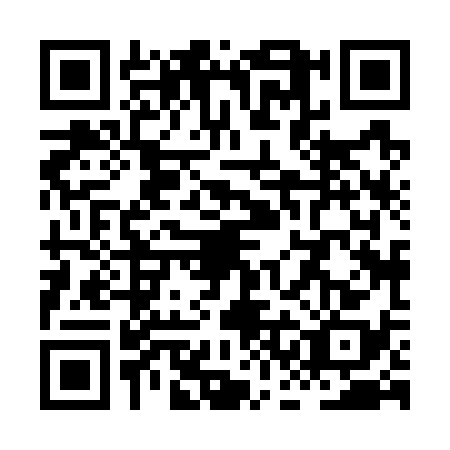 QR code for XCH7381