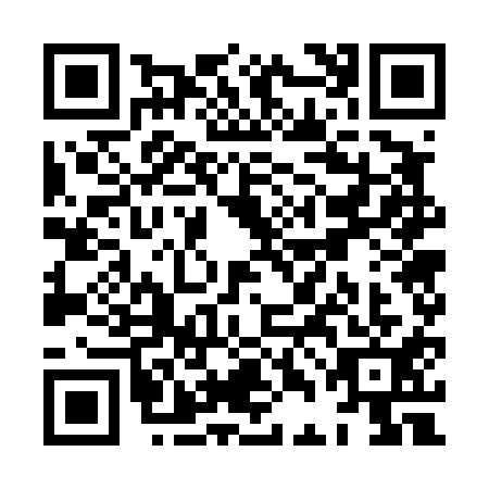 QR code for XDG4118