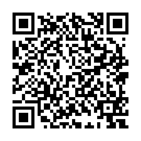 QR code for XDI2930