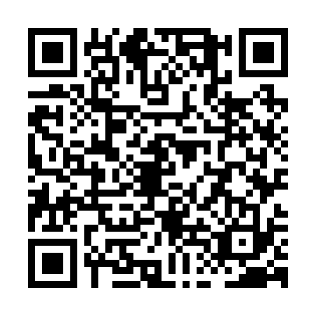 QR code for XDO2333