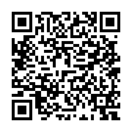 QR code for XFK0919