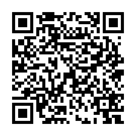 QR code for XFQ2295