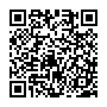QR code for XGX0439