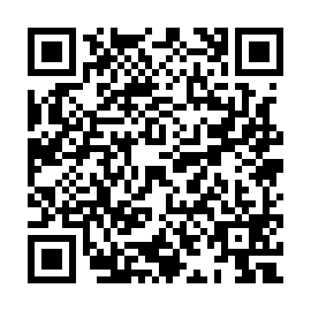 QR code for XIA1995