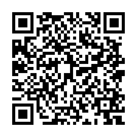 QR code for XII4419