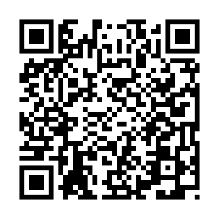 QR code for XII8497