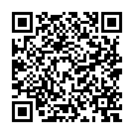 QR code for XII9573