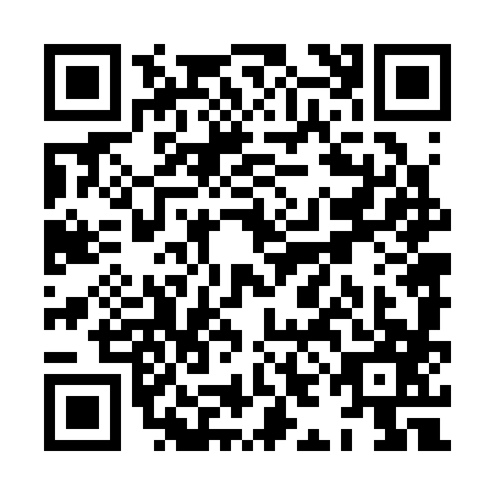 QR code for XIN3876