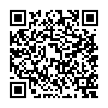 QR code for XJJ1119