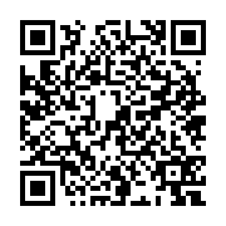 QR code for XJJ2368