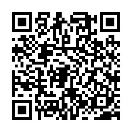 QR code for XJX2238