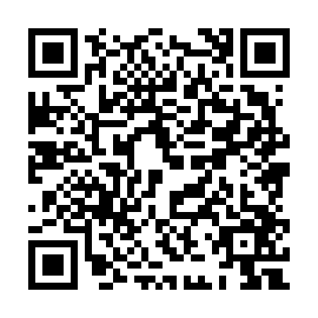 QR code for XJX6463