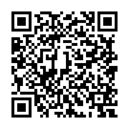 QR code for XLH8413