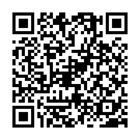 QR code for XNK8384