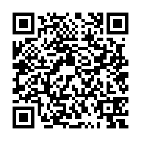 QR code for XPW0381