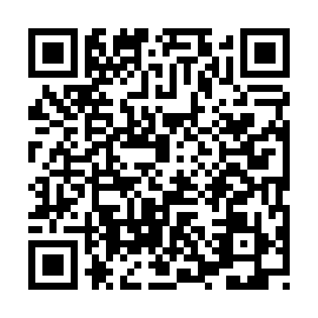 QR code for XSI0991