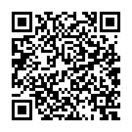 QR code for XSV3161