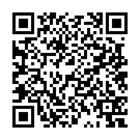 QR code for XTR0334