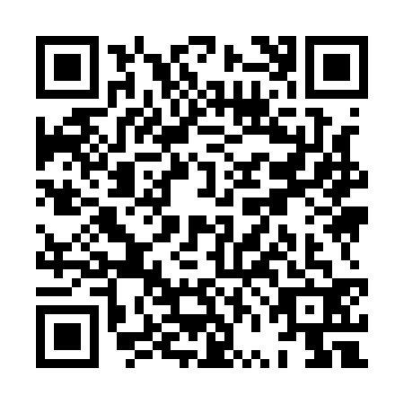 QR code for XVI1325