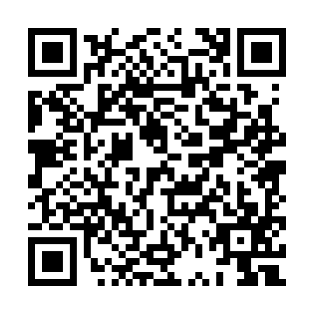 QR code for XVP3971