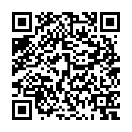 QR code for XWS6729