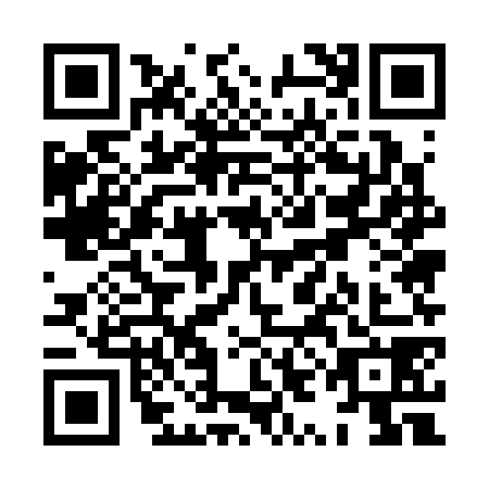 QR code for XYE3787