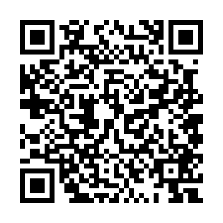 QR code for XYF0491