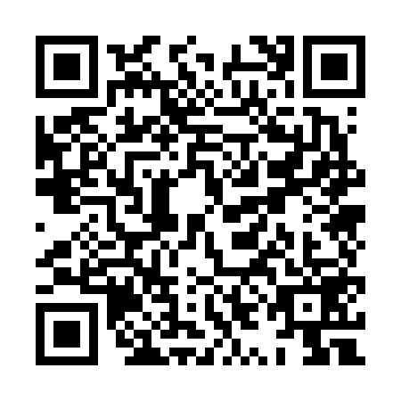 QR code for XYO6595