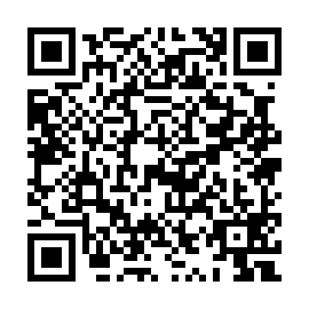QR code for XYQ0990