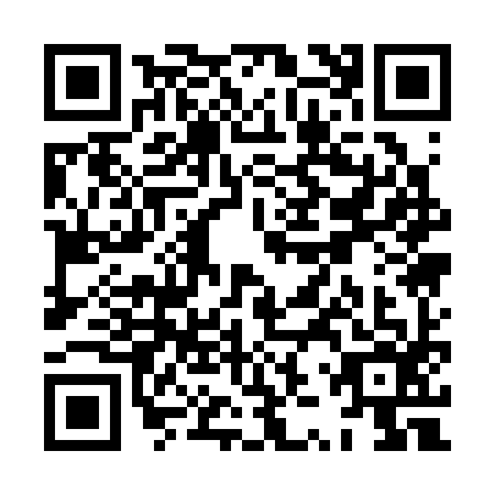 QR code for XZQ3966