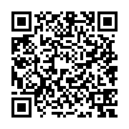 QR code for YAN5386