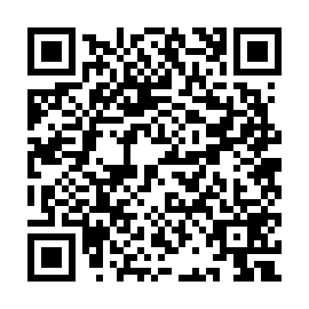 QR code for YBB6599