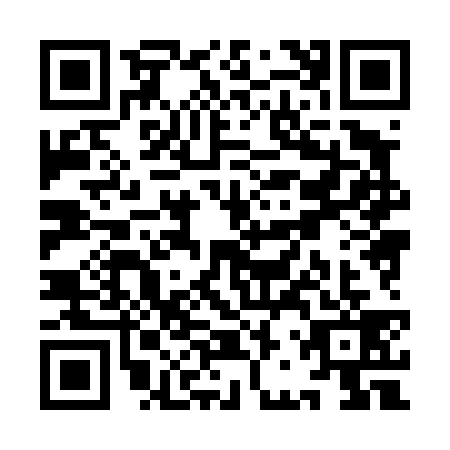 QR code for YBX4393