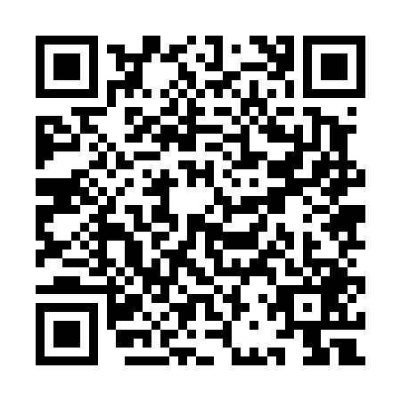 QR code for YBZ4495