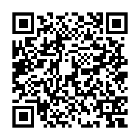 QR code for YDQ5333