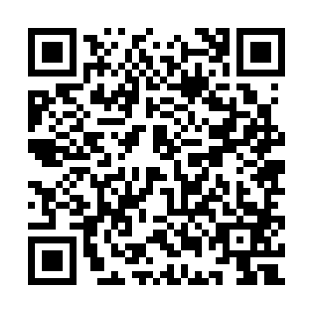 QR code for YEJ3833