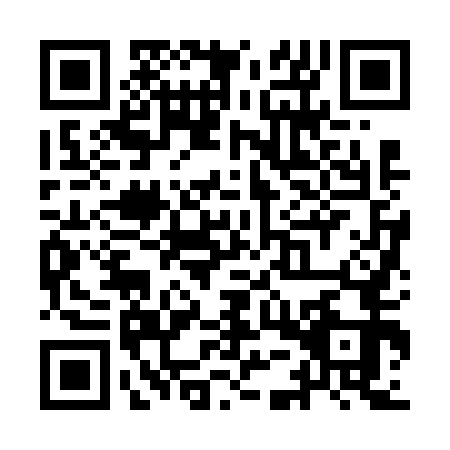 QR code for YEZ6533