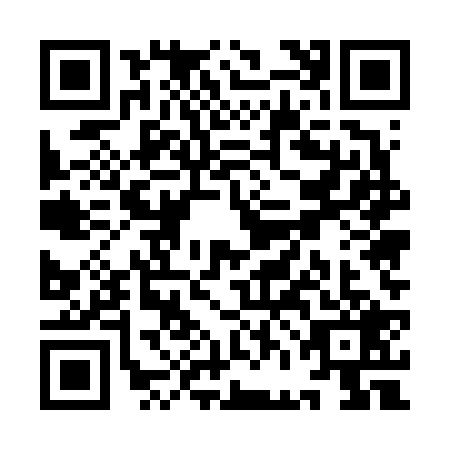 QR code for YFE6294