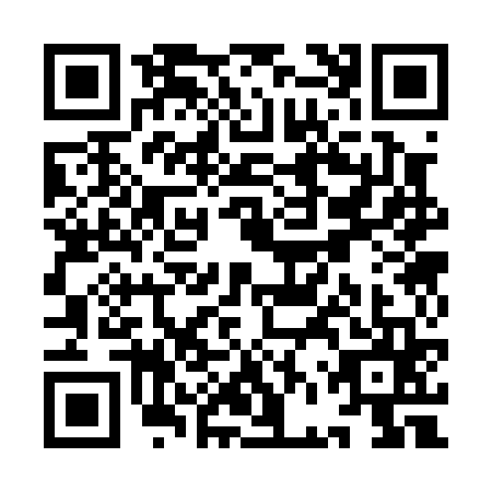 QR code for YFS0655