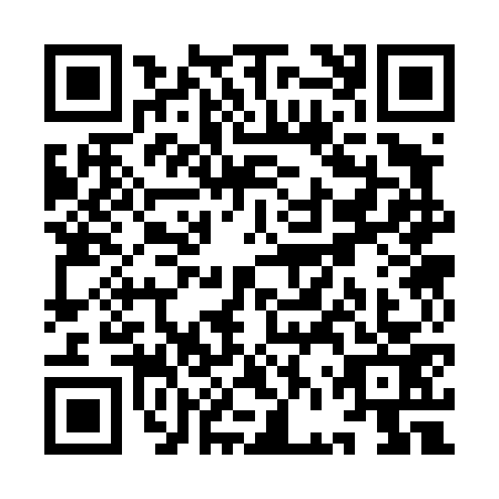 QR code for YFS4733