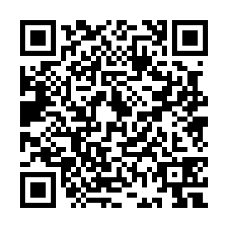 QR code for YGP0384