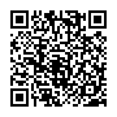 QR code for YIJ4953
